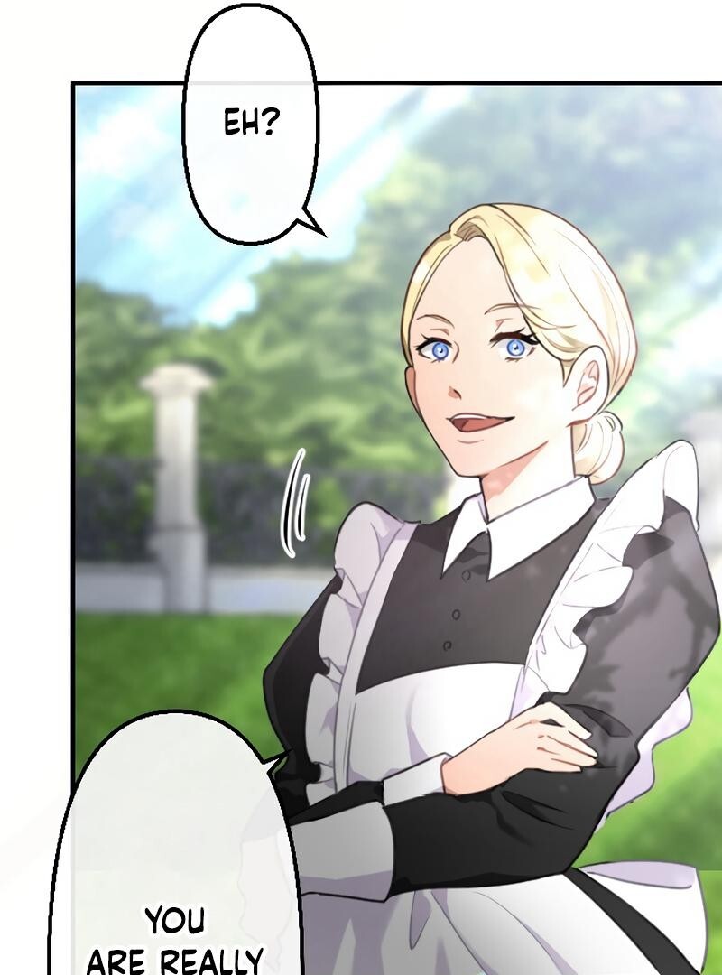 67885508 800 1080 96095